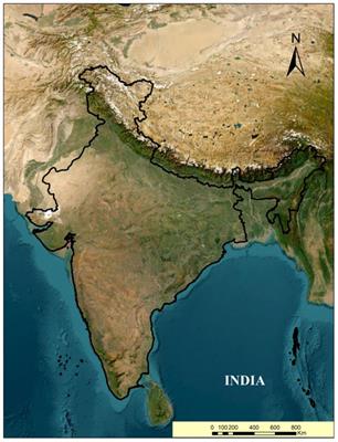 Monitoring vegetation degradation using remote sensing and machine learning over India – a multi-sensor, multi-temporal and multi-scale approach